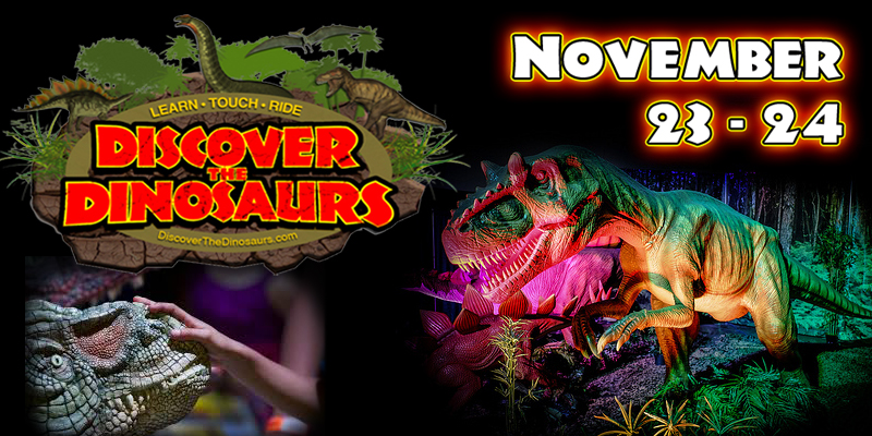 Discover the Dinosaurs!